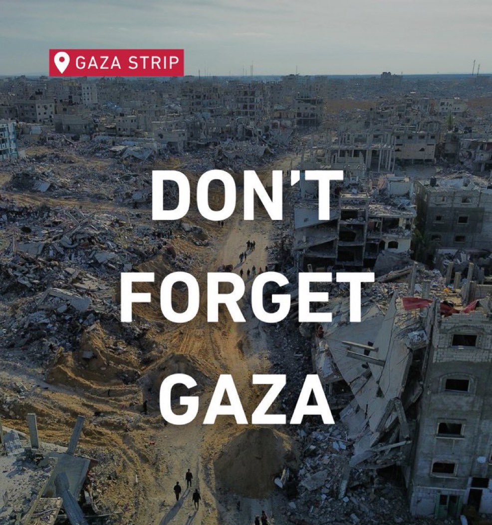 Nermeen from Gaza 𓂆🇵🇸🍉 tweet media