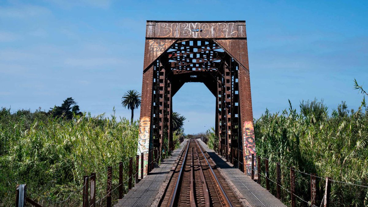 🌏PEACE✌️☮️🕊♻️☘️ tweet media