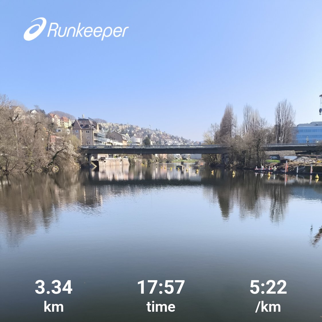 Forest Runner tweet media