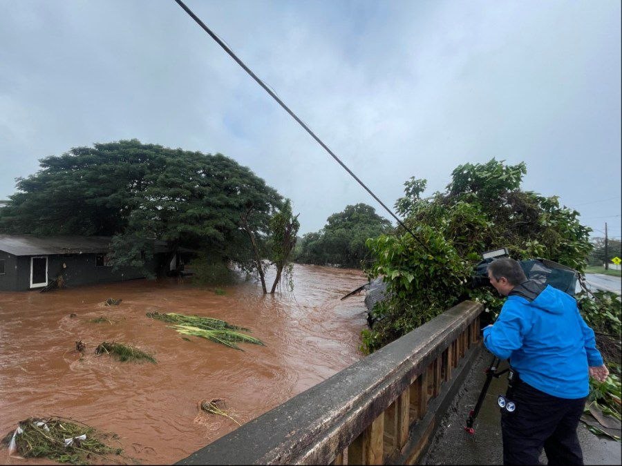 Alex Terry tweet media