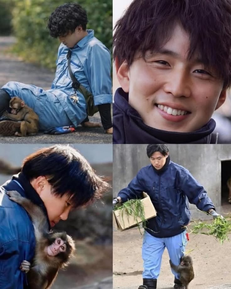 ANIMALIA tweet media