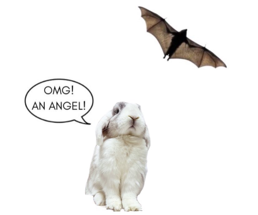 @𝕄𝕚𝕝𝕜𝔸𝕣𝕔𝕙𝕚𝕧𝕖🐰 tweet media