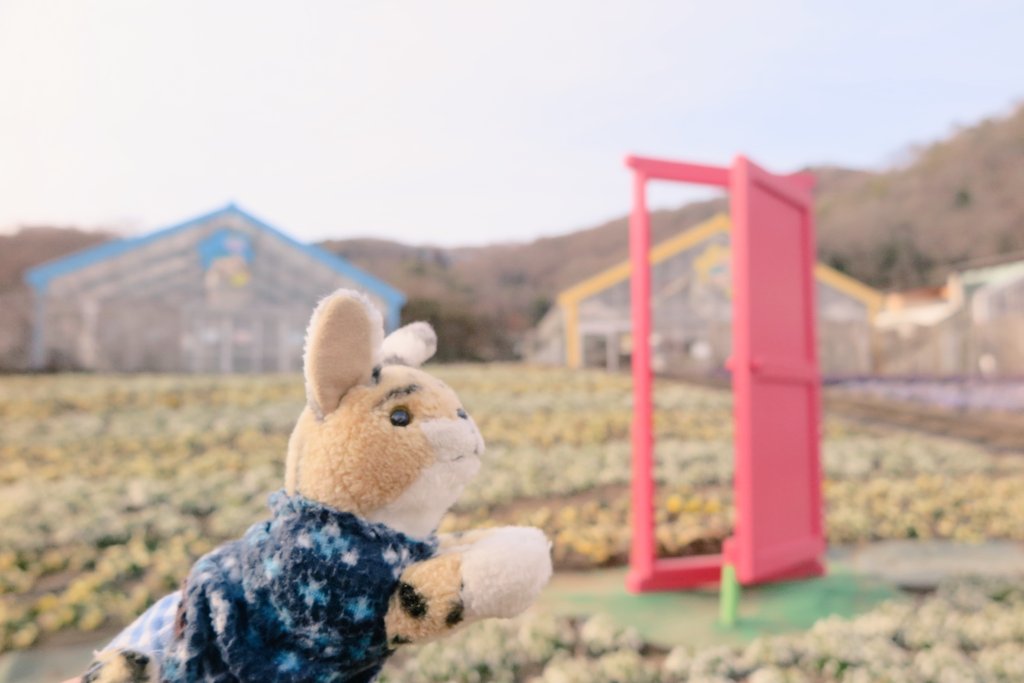 あさーバル（中の人） tweet media