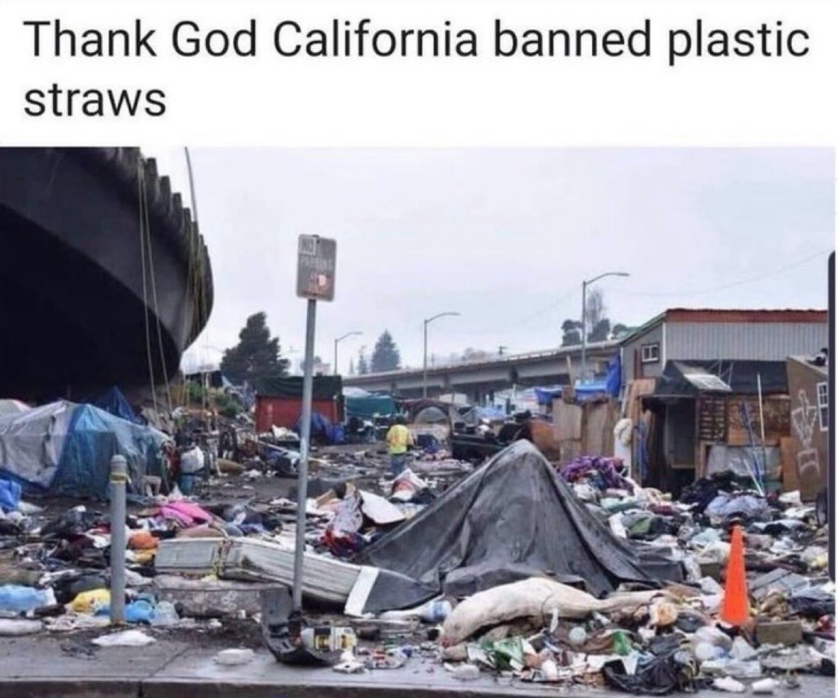 Sarah Sizzle tweet media