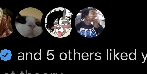 Star4K⭐️ tweet media