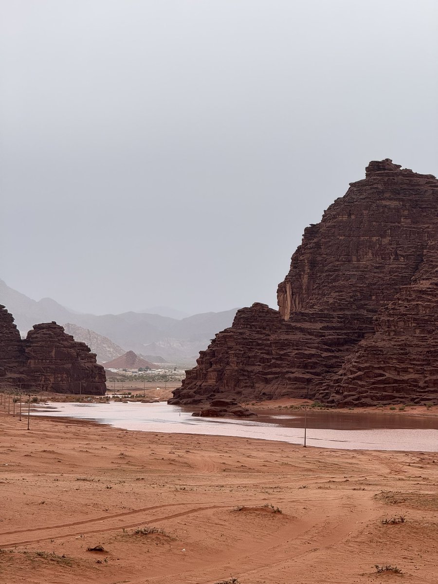 أحمد بن نجم' tweet media