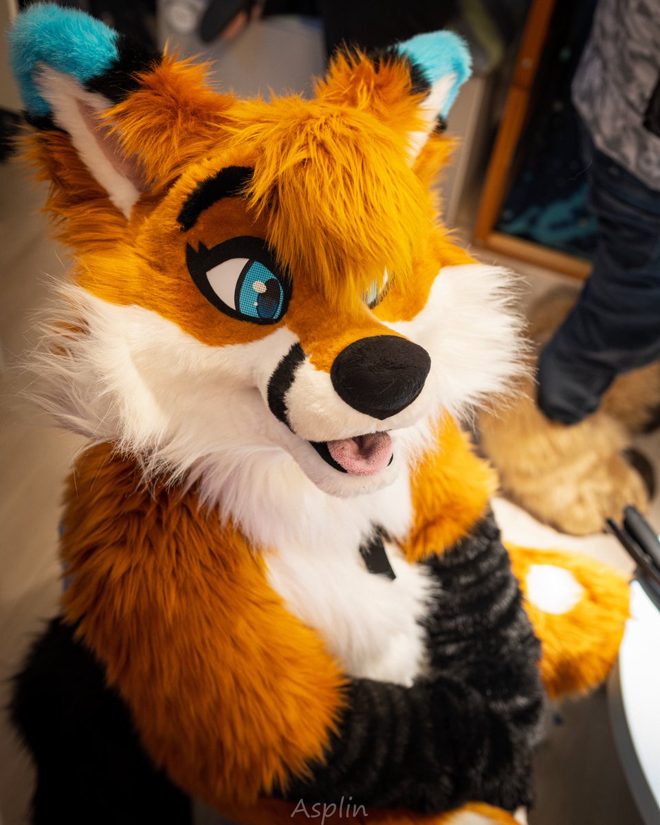 Autumn 🦊🔜TFF tweet media