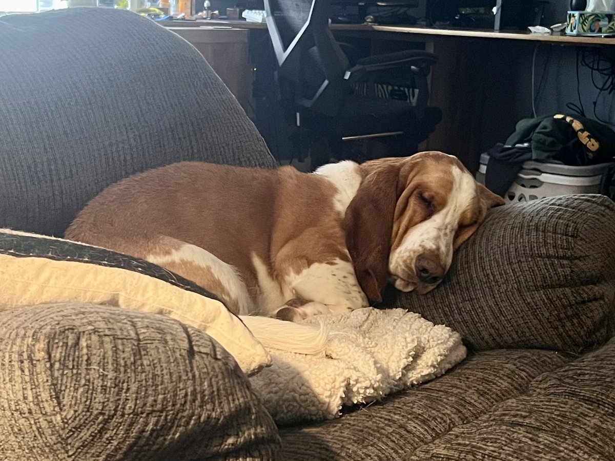 Sgt. Tater Ret. tweet media