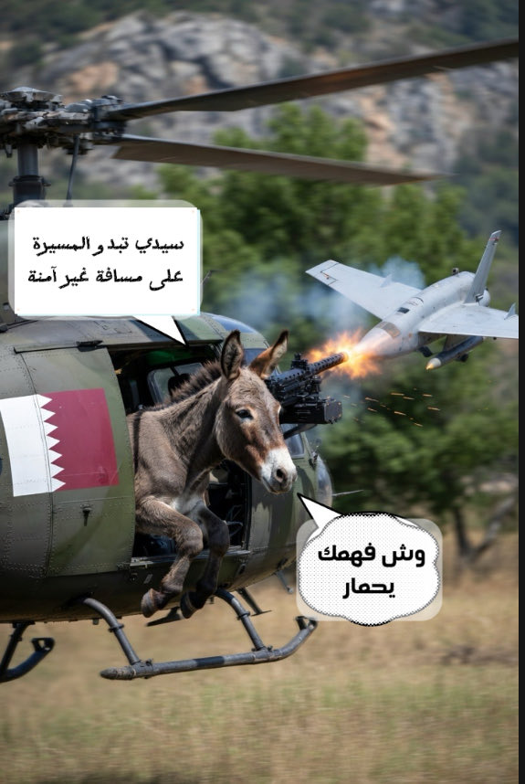 حماروف الاحتياطي tweet media
