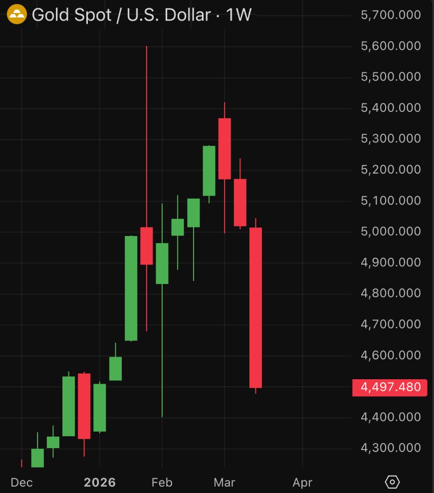 Reflection🪩 tweet media