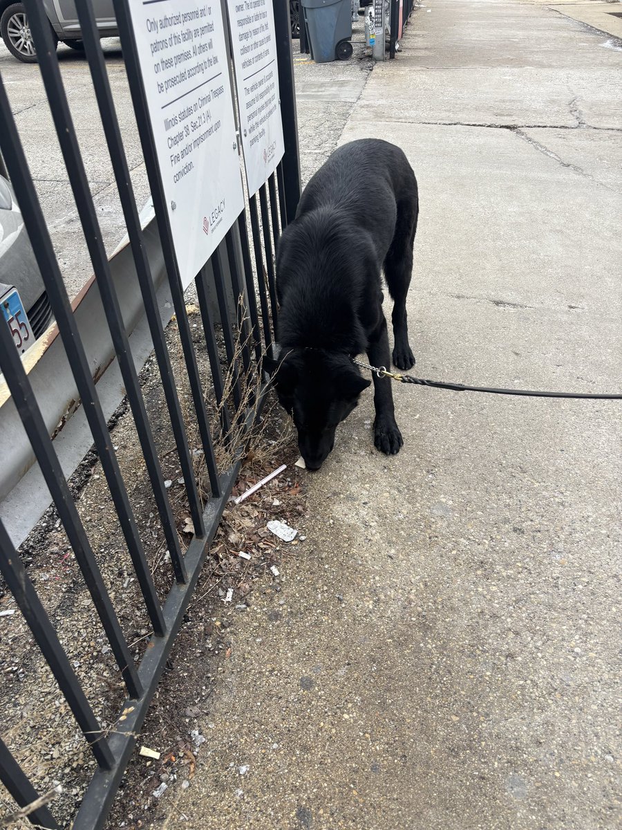 CPD_Transit tweet media