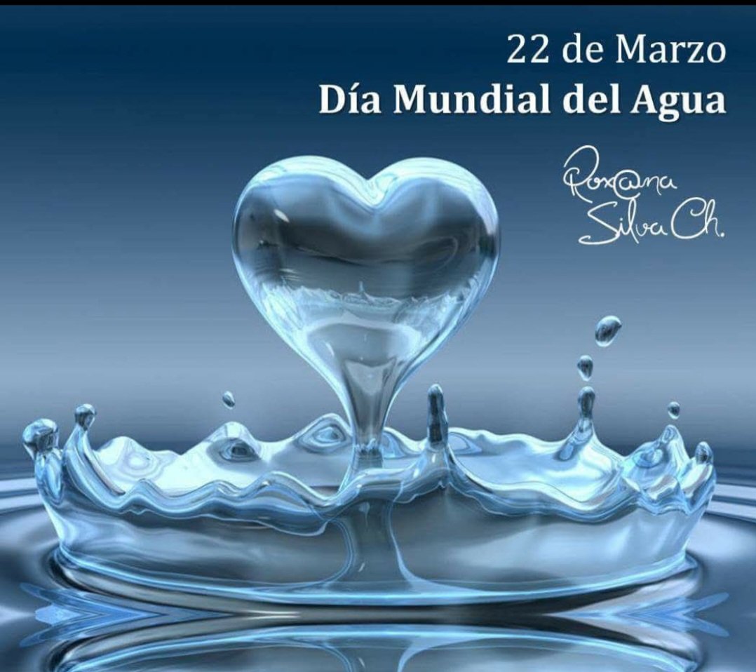 Roxana Silva tweet media
