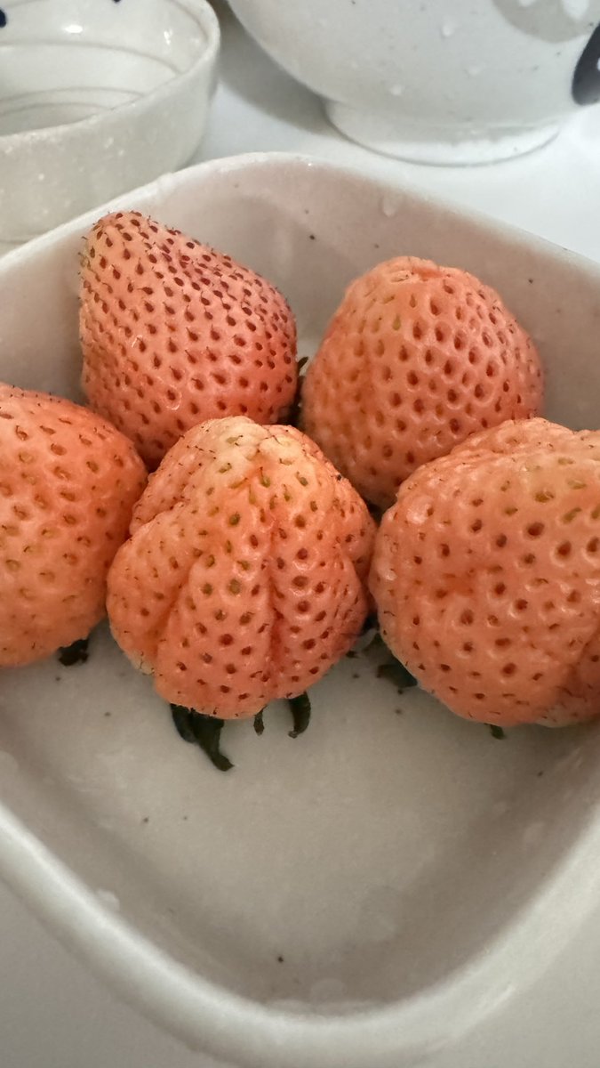 KAS雑貨 tweet media