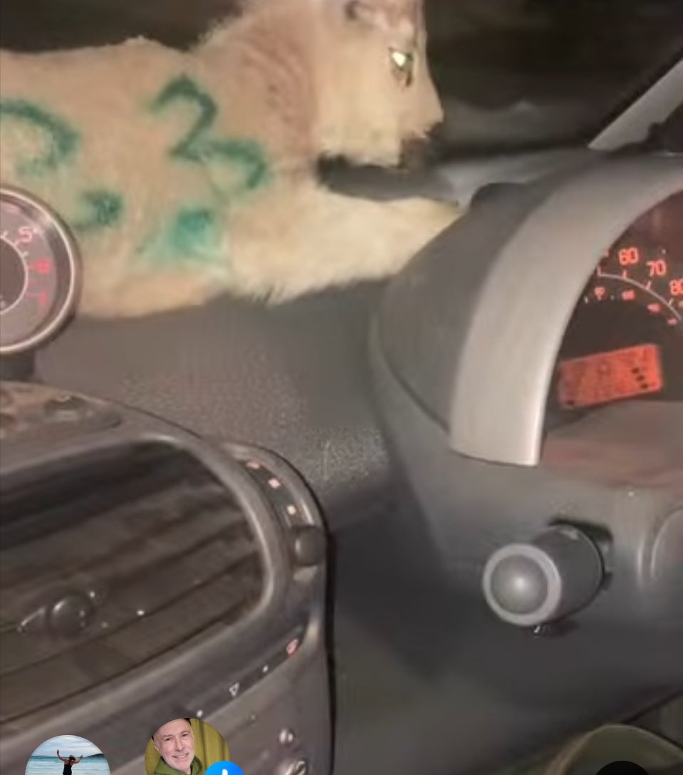 rattycastle's tweet image. #Hitchingaride #Saturdaynight  #outout