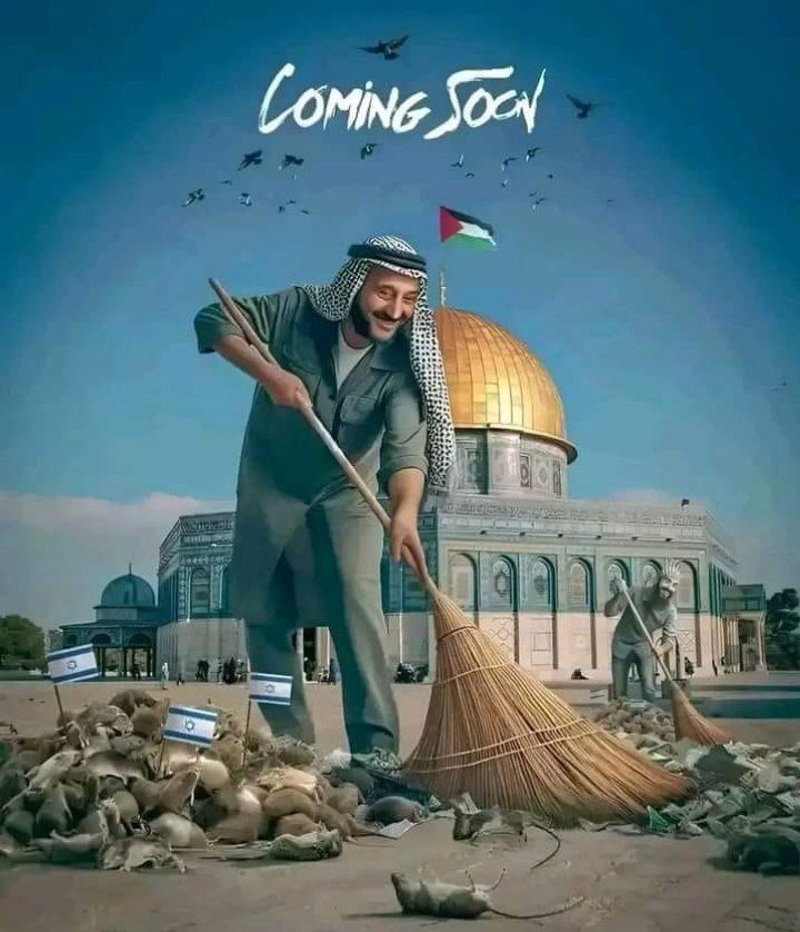 علی زاده❤️ ☫ 💚 tweet media