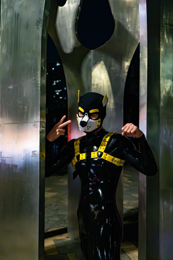 琦怪琦怪Pup-kiki tweet media