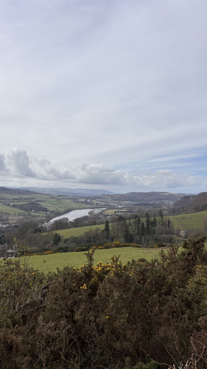 Help2Rehome Scotland tweet media