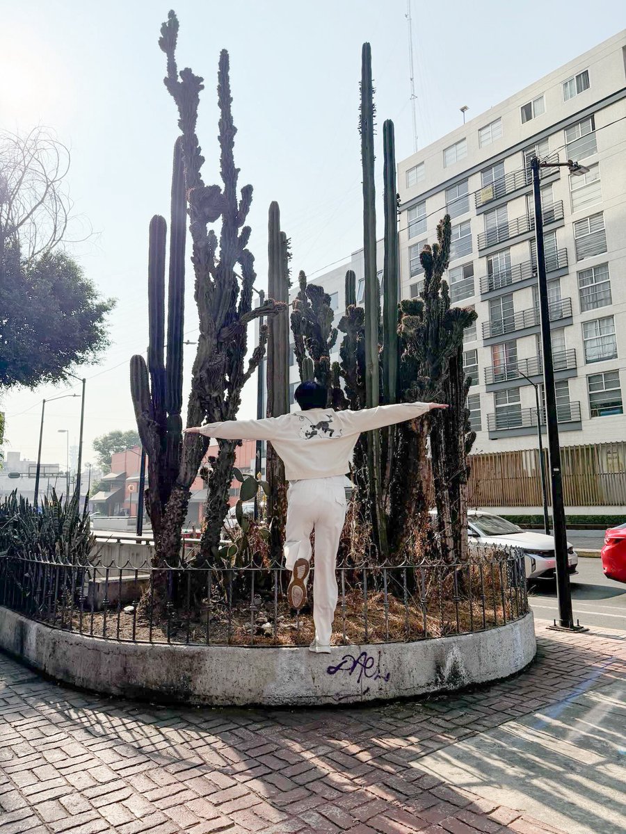 ลูกชายค่ะ แกยังเล็กอยู่มาก ((กล้ามใหญ่กว่าหัว)) ชอบวิ่งเล่น มีความฝันว่าอยากเป็นเครื่องบิน ห้ะ