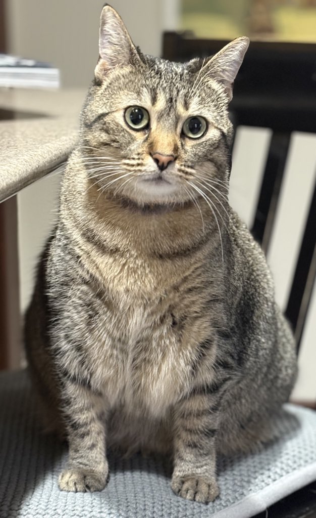 Lucy SkinnyJeans tweet media