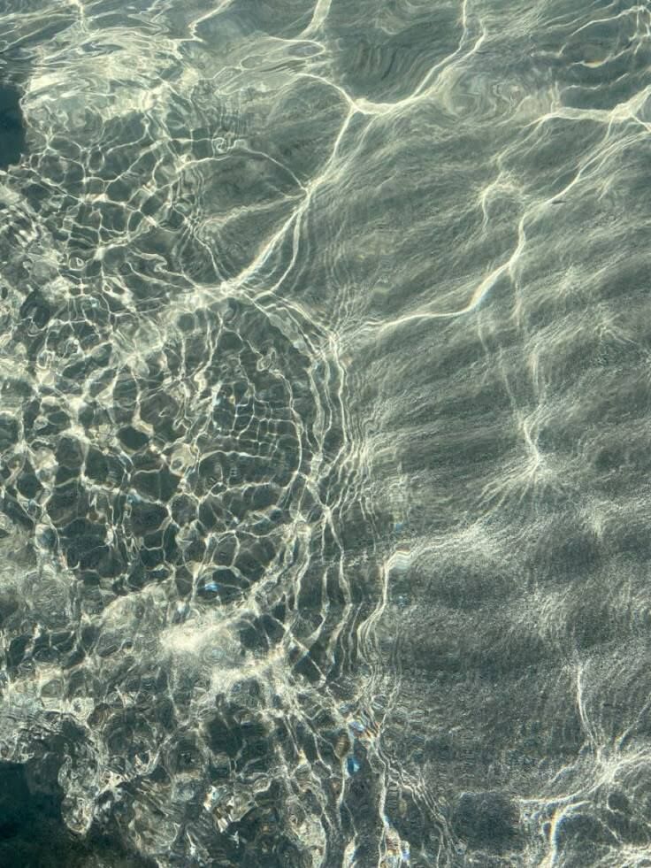 MozartCultures tweet media