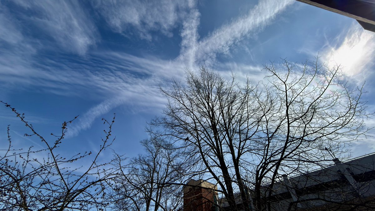 DJ Jordan tweet media