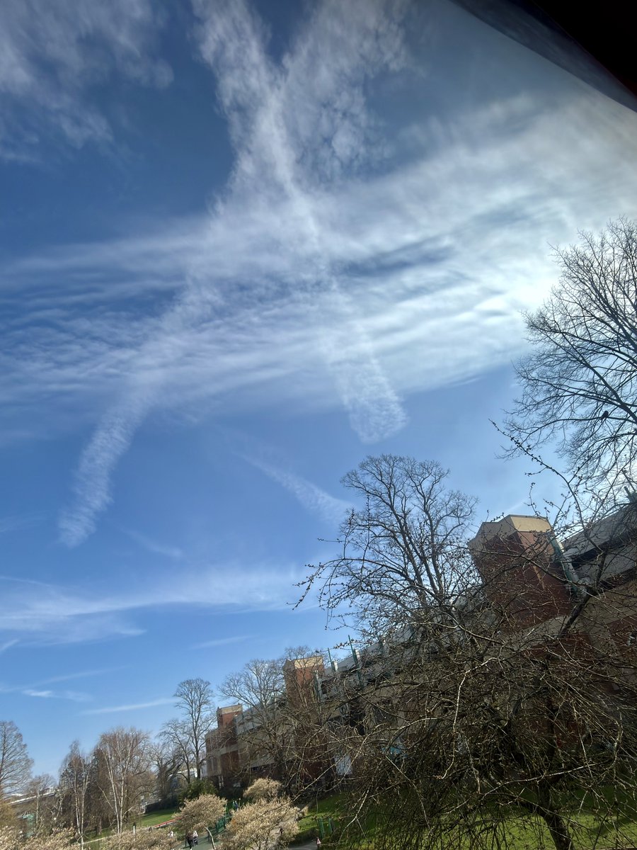 DJ Jordan tweet media