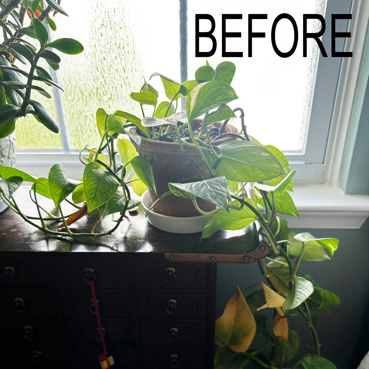 Sabrina at Sabrina's Org & Adm Services tweet media