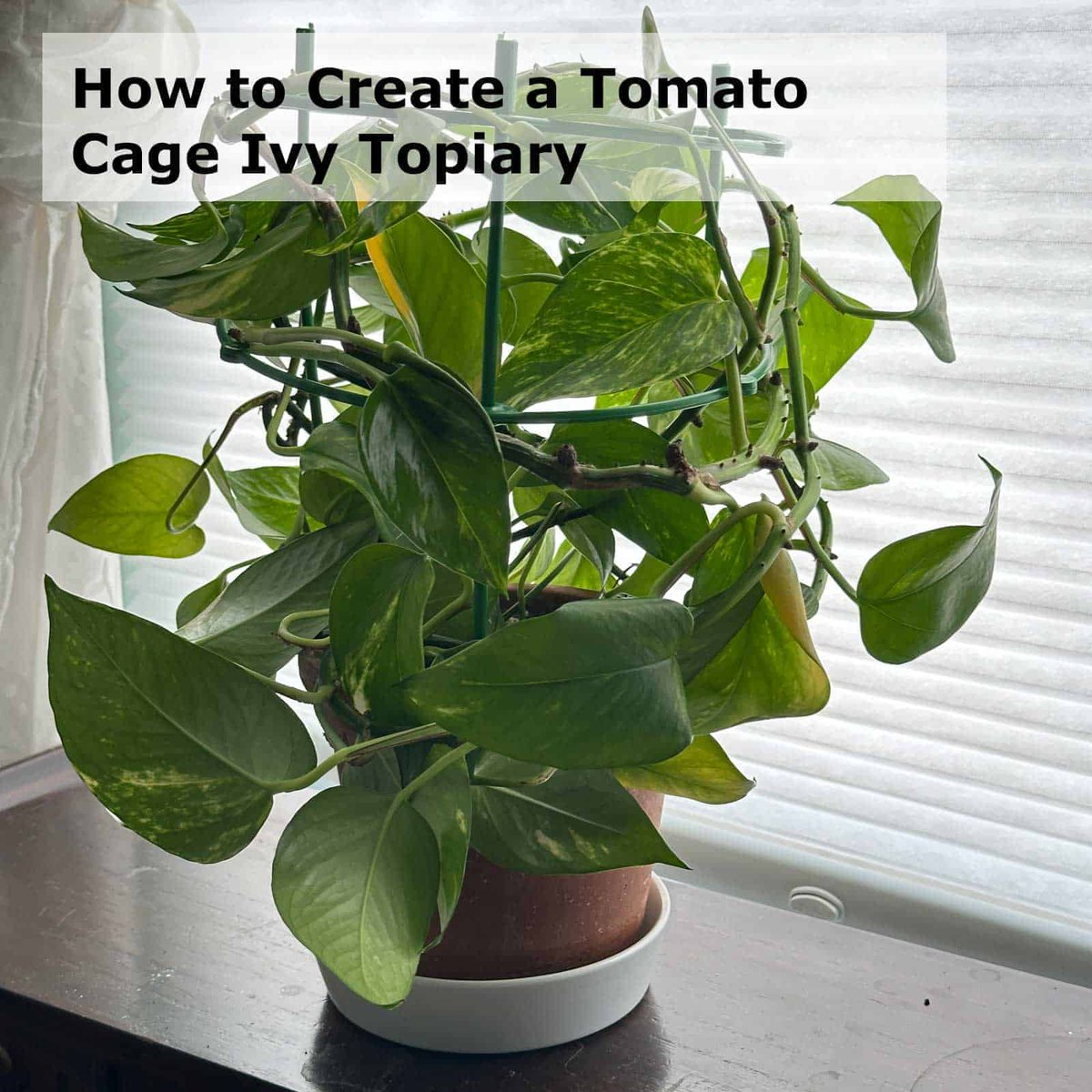 Sabrina at Sabrina's Org & Adm Services tweet media