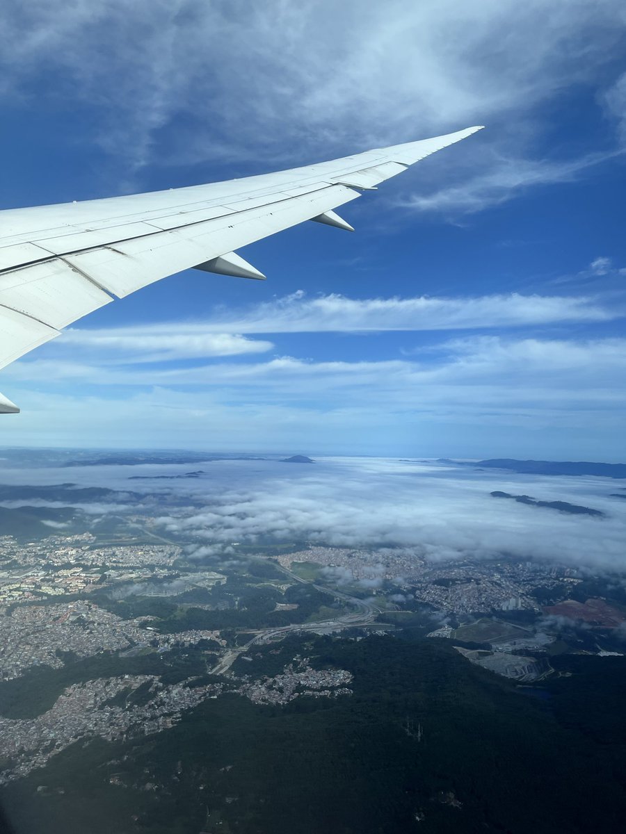 yungiv🦍 tweet media