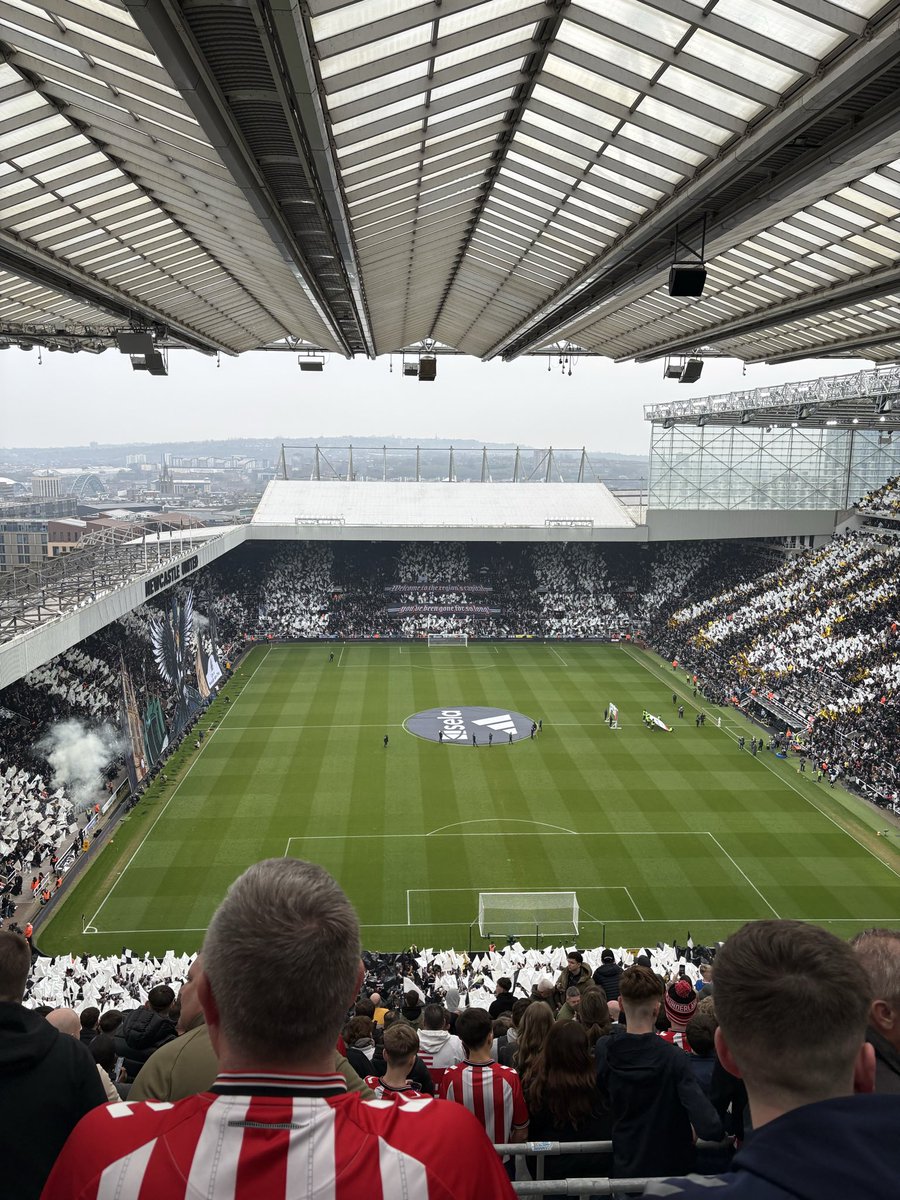 Harry Cook tweet media