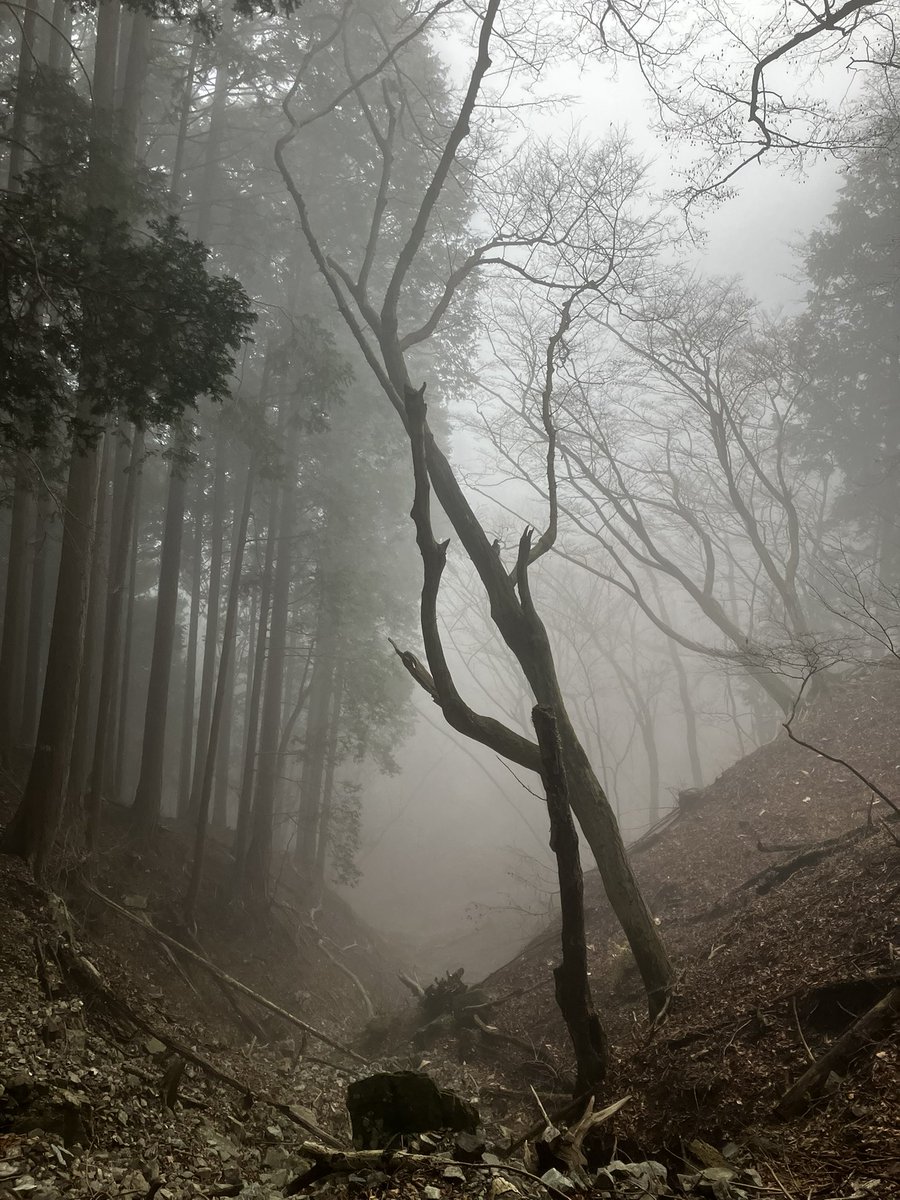 うろん tweet media