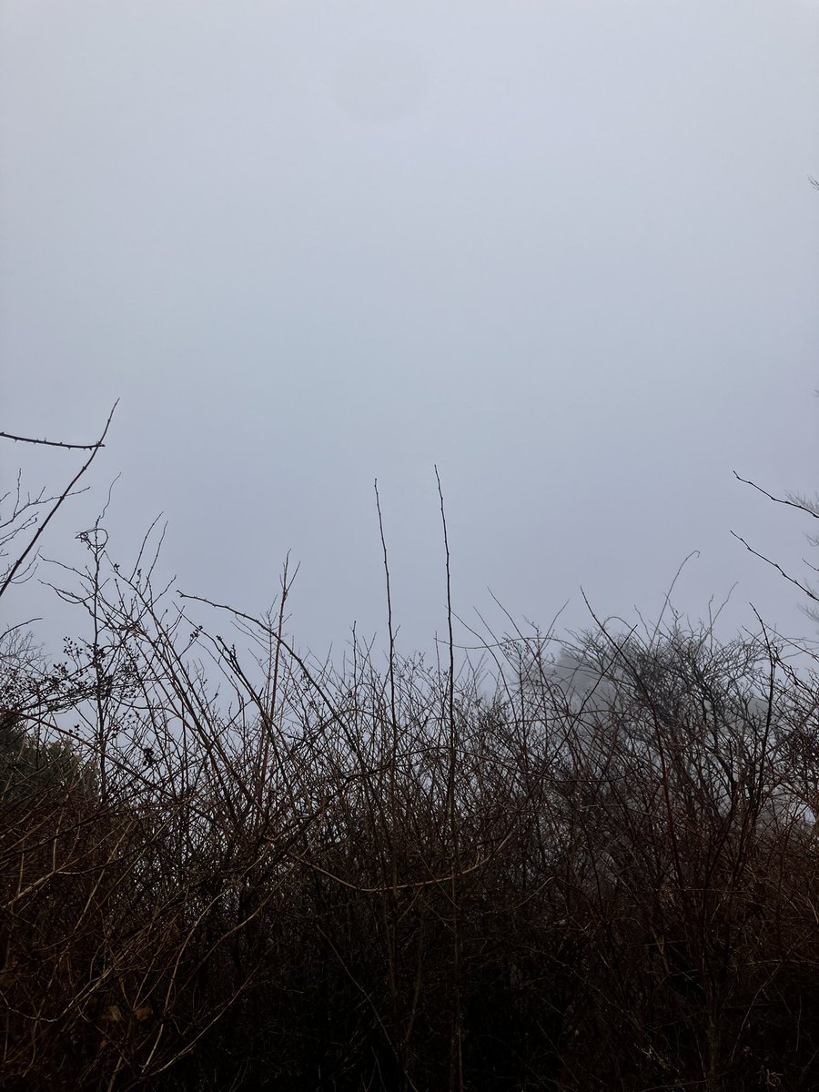 うろん tweet media