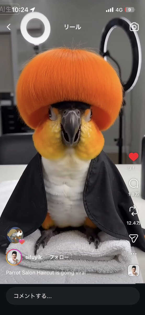 粉雪 zepp1/28 tweet media