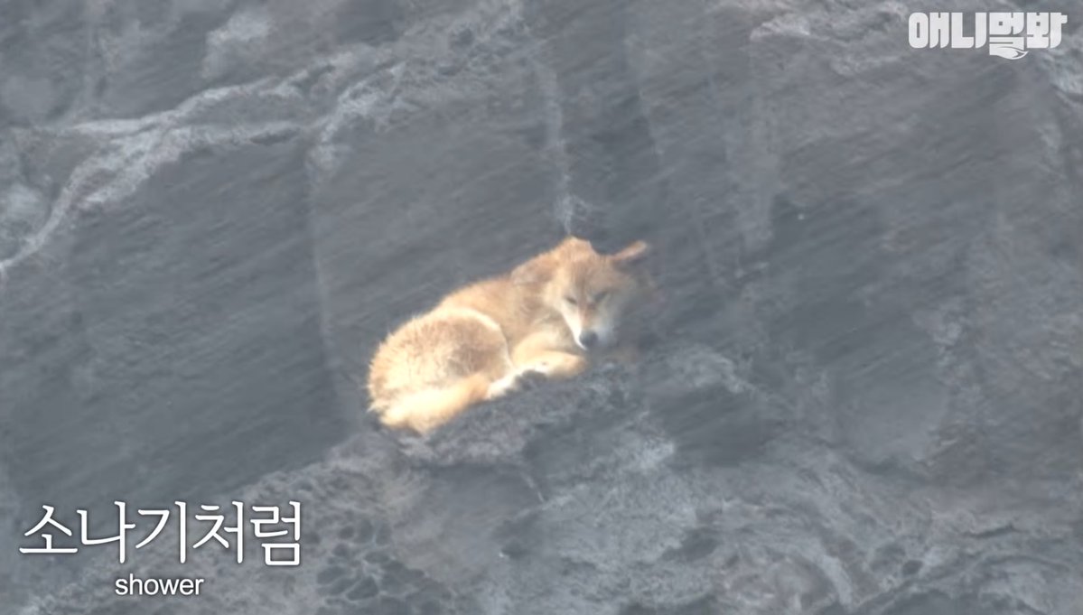 Chad delling 🟢 $AWR tweet media