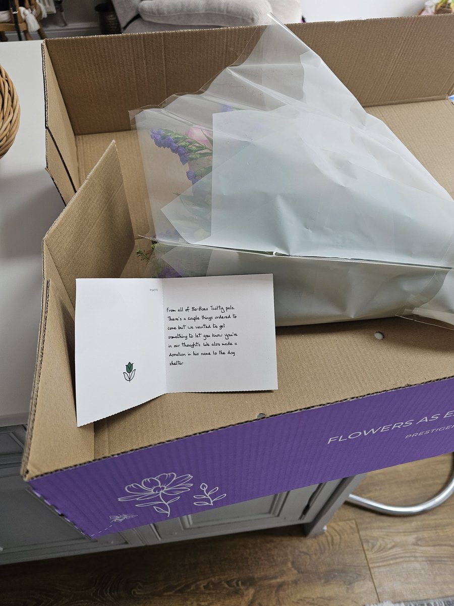 Bo-Boes the mini Bear Cub 🌈🐾💛💖🧡🥀💙 tweet media