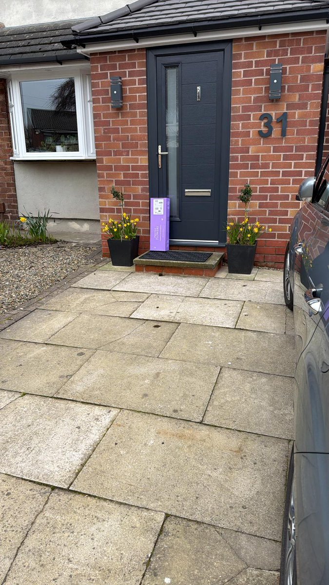 Bo-Boes the mini Bear Cub 🌈🐾💛💖🧡🥀💙 tweet media