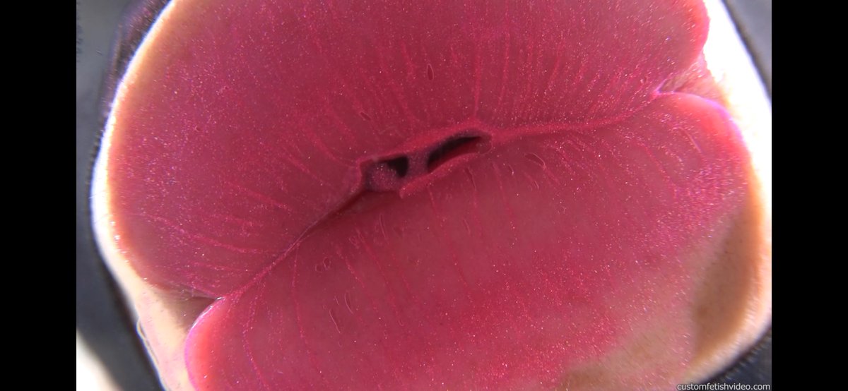 カメラキス tweet media