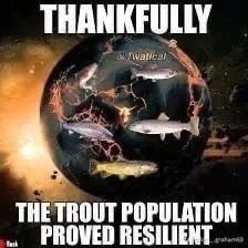 horse dentist tweet media