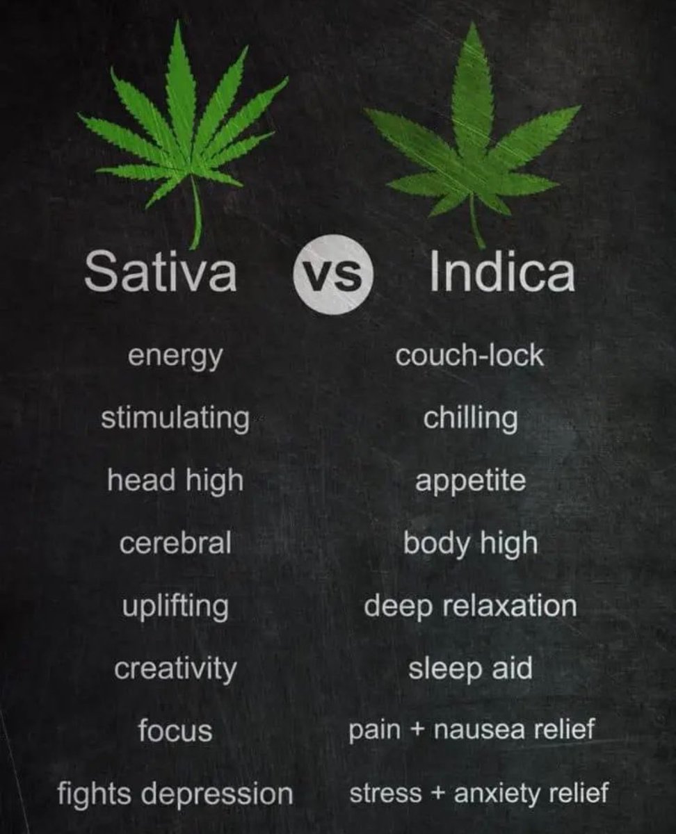 STONERS R US 🍃 tweet media