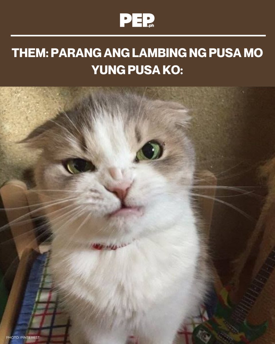 Official PEP.ph tweet media