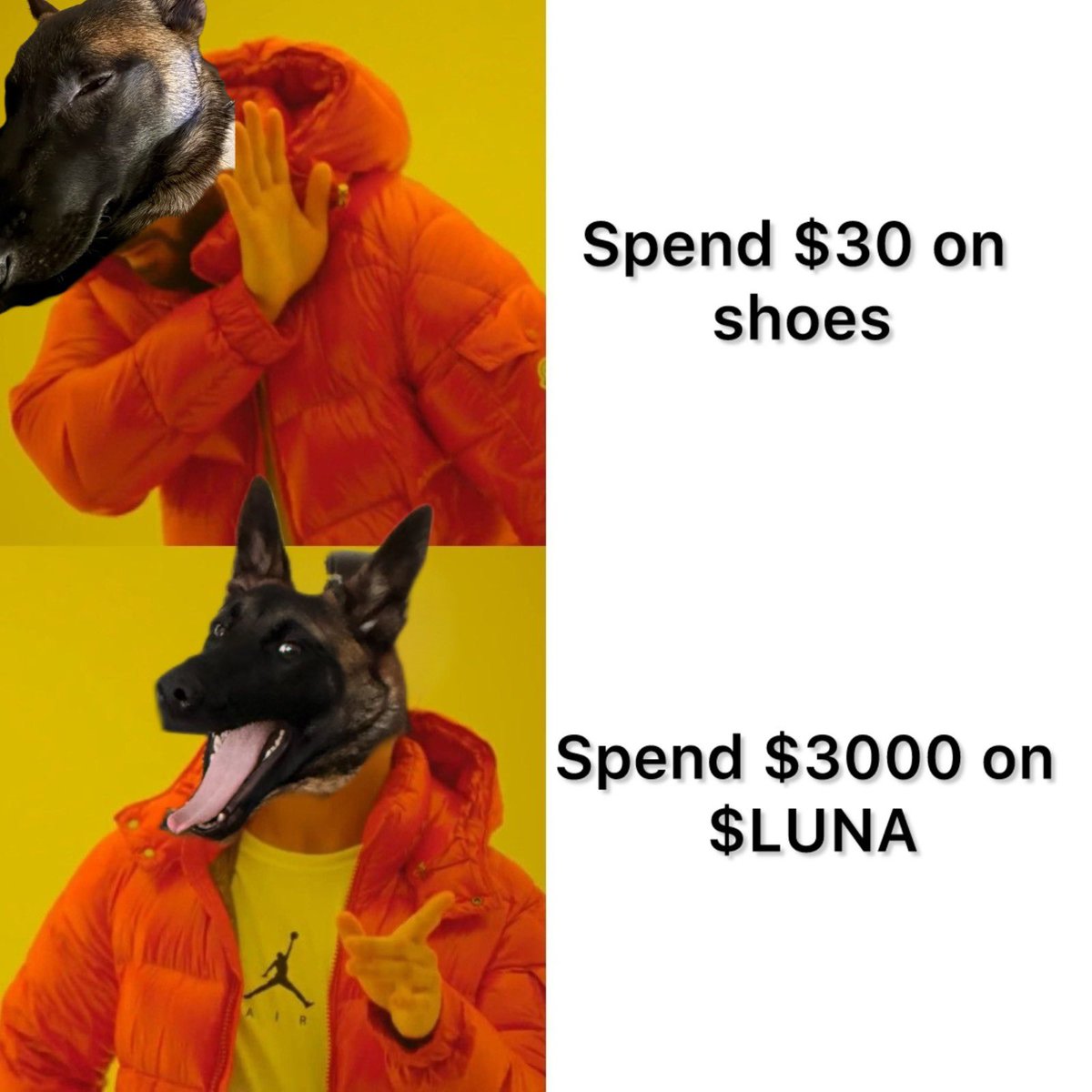 Luna 🐕 Solana’s Lunatix tweet media