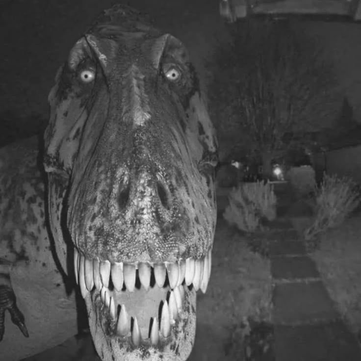 사공사/newera tweet media