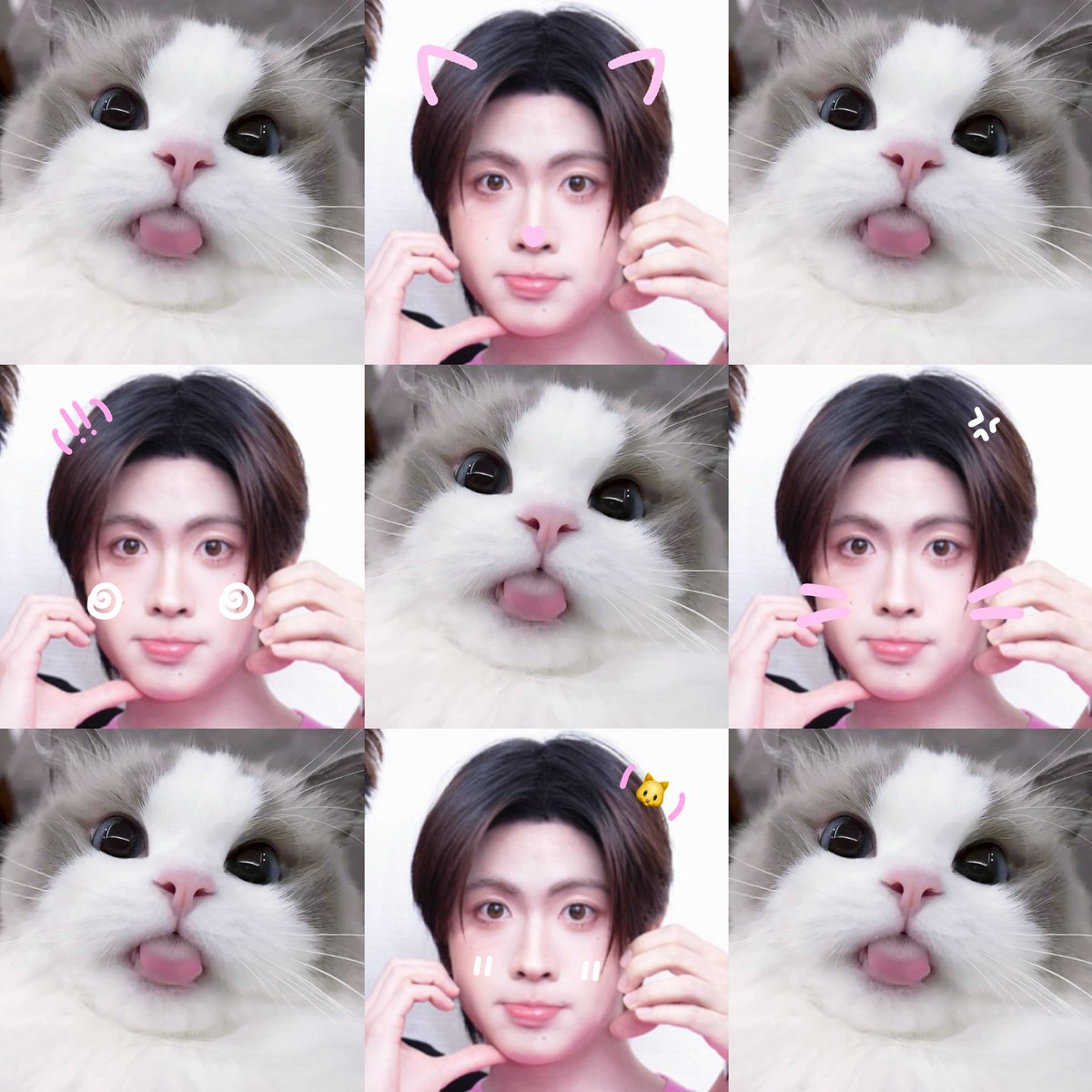 พูลิน tweet media