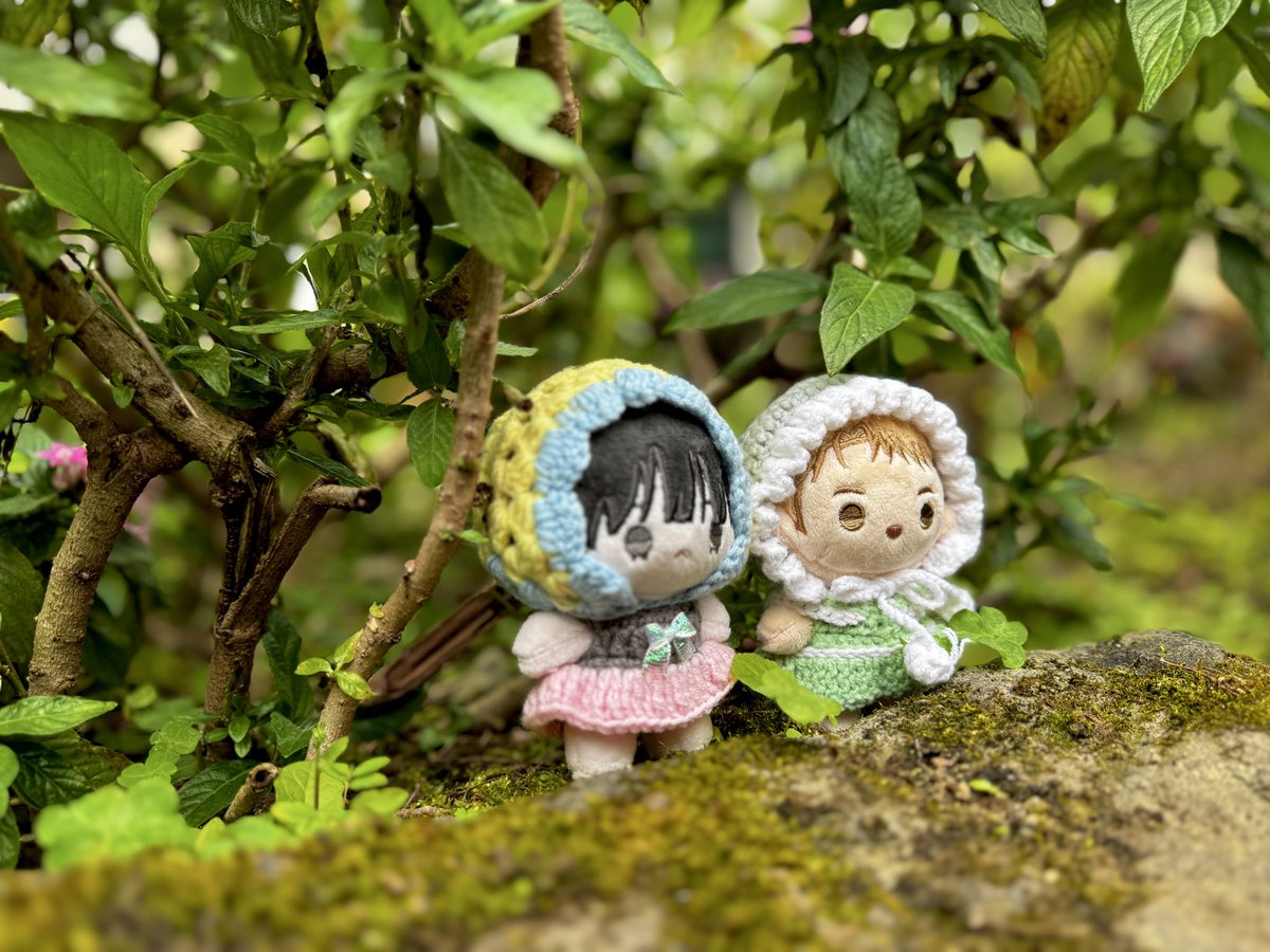 Daisydaisy tweet media