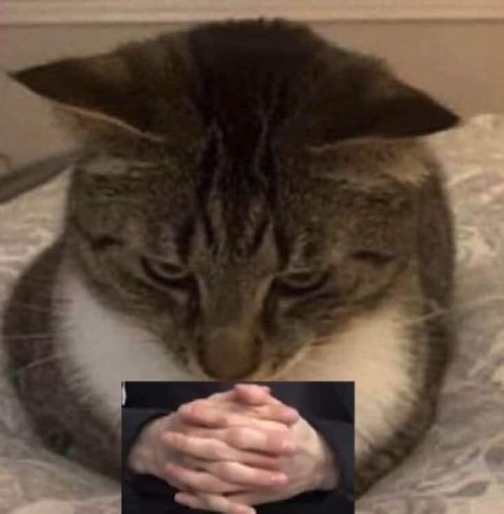 DIETHINGY (KIRIM MFS? CEK PINNED) tweet media