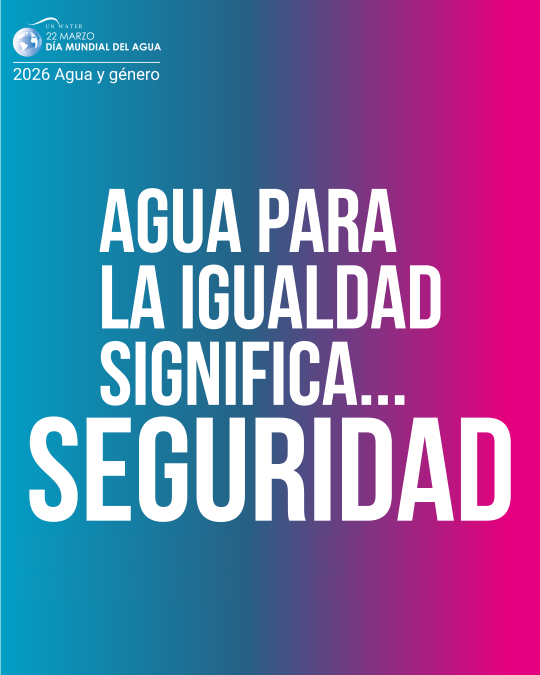 ONU Chile tweet media