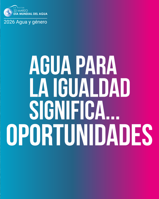 ONU Chile tweet media