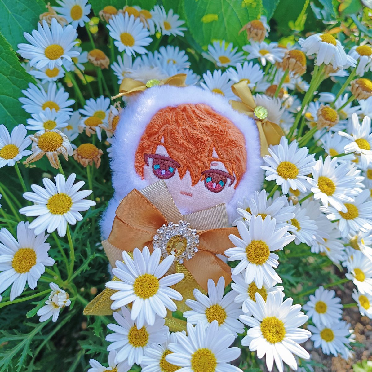 🐟🤞 tweet media