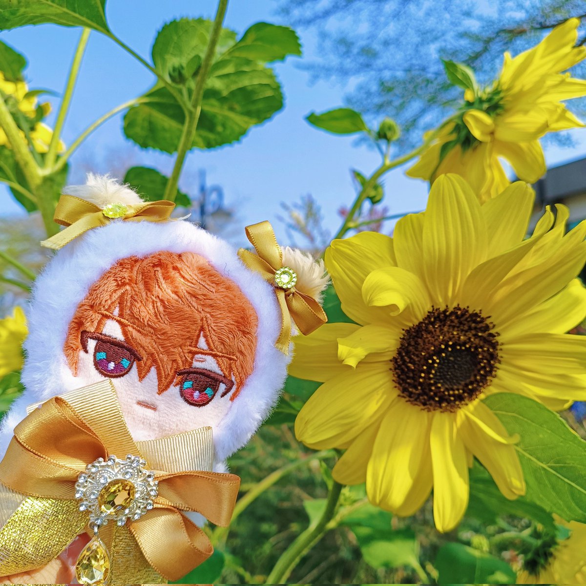 🐟🤞 tweet media