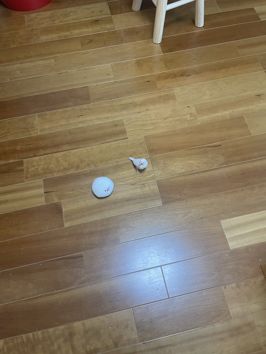 よんちゃ tweet media